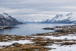 Nordic Winter Landscape-1